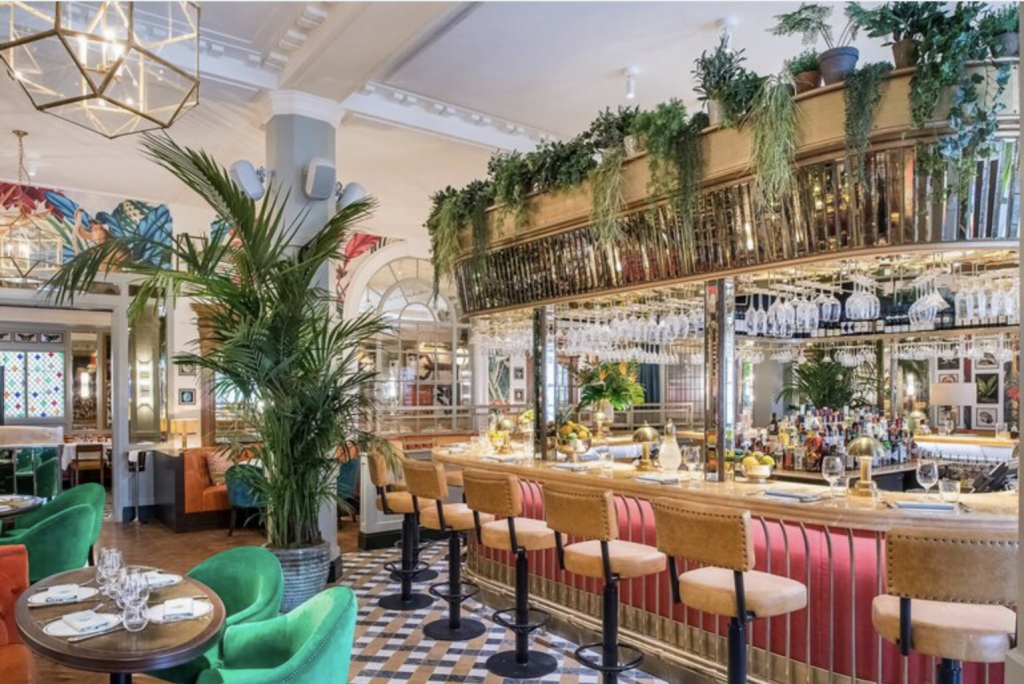 Win A Meal Wine For Two At The Ivy In The Lanes Sussex Local